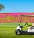 voiturette golf printemps