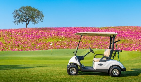 voiturette golf printemps